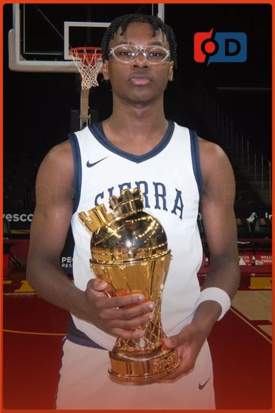 College Basketball Career at Arizona